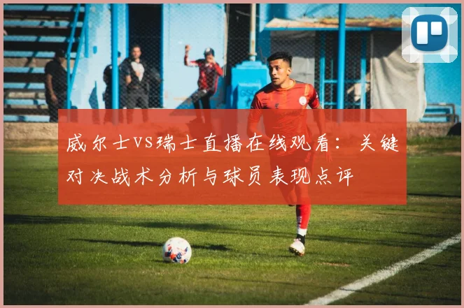 威尔士vs瑞士直播在线观看：关键对决战术分析与球员表现点评